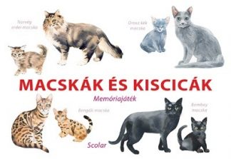 Inca Starzinsky - Macskák és kiscicák - Memóriajáték