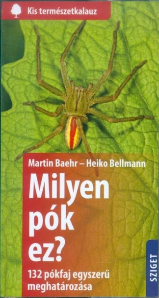Martin Baehr - Milyen pók ez? - 132 pókfaj egyszerű meghatározása /Kis természetkalauz