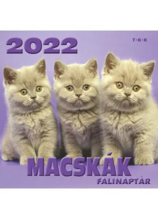 Naptár - Macskák  Falinaptár 2022