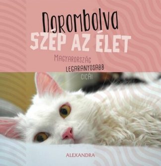 - Dorombolva szép az élet - Magyarország legaranyosabb cicái - 365 gondolat