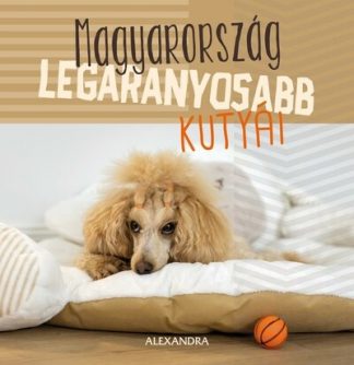 - Magyarország legaranyosabb kutyái