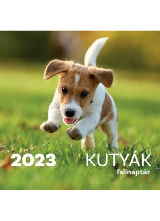 Naptár - Kutyák Falinaptár 2023.