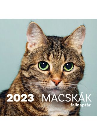 Naptár - Macskák Falinaptár 2023.