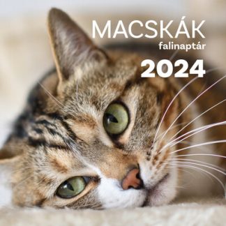 Naptár - Macskák falinaptár 2024