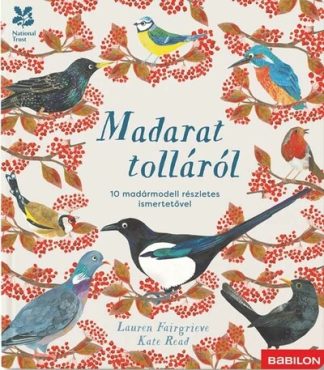 Lauren Fairgrieve - Madarat tolláról - 10 madármodell részletes ismertetővel - Kiapattintható oldalakkal