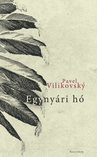 Pavel Vilikovský - Egynyári hó
